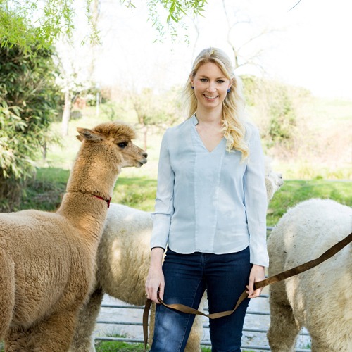 Frau mit Alpakas an der Leine